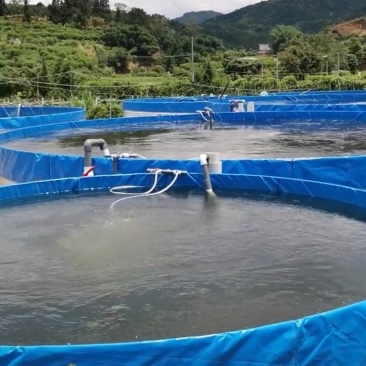 高密度养殖水箱,镀锌板厚度支架鱼池,帆布水池。