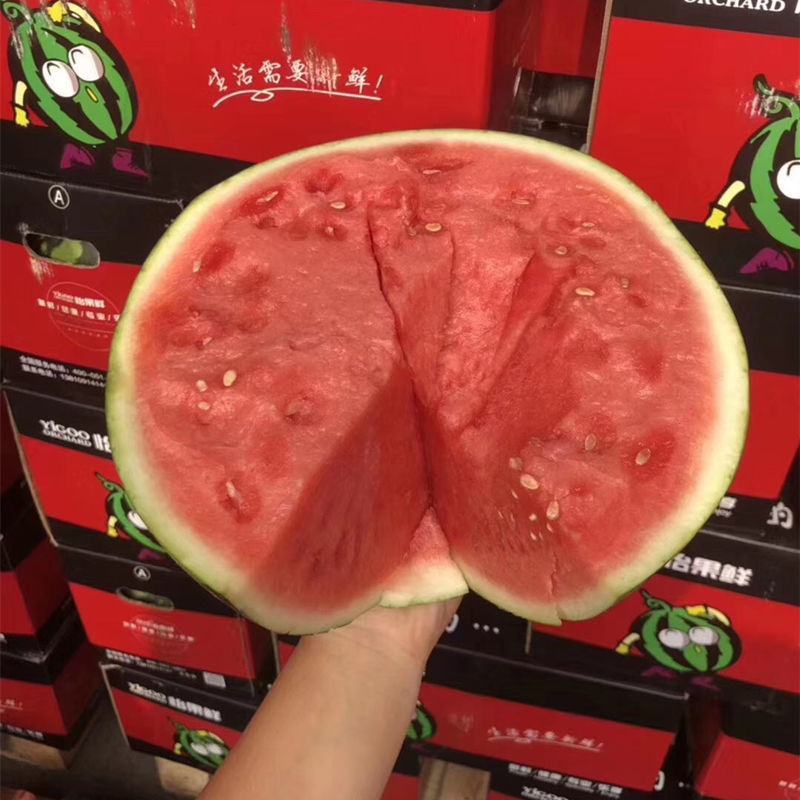精品美都西瓜，诚信经营，产地直发，大量上市火爆热销中