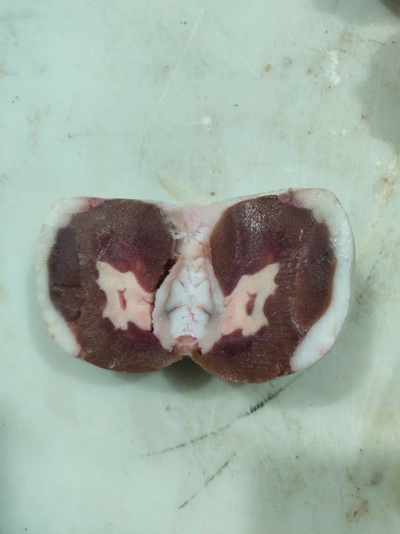 伊祥源包油牛腰羊腰价格美丽品质保证全国支持样品