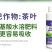 茶叶专用叶面肥茶叶催芽增厚素1000克茶叶壮芽拉尖素