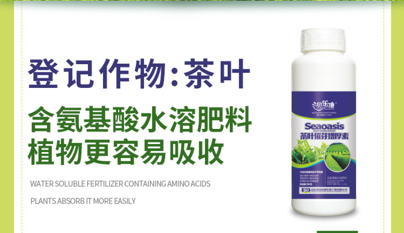 茶叶专用叶面肥茶叶催芽增厚素1000克茶叶壮芽拉尖素