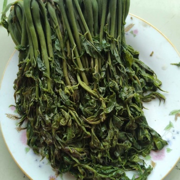【源头厂家】沂蒙山露天红香椿芽手工腌制红香椿咸菜