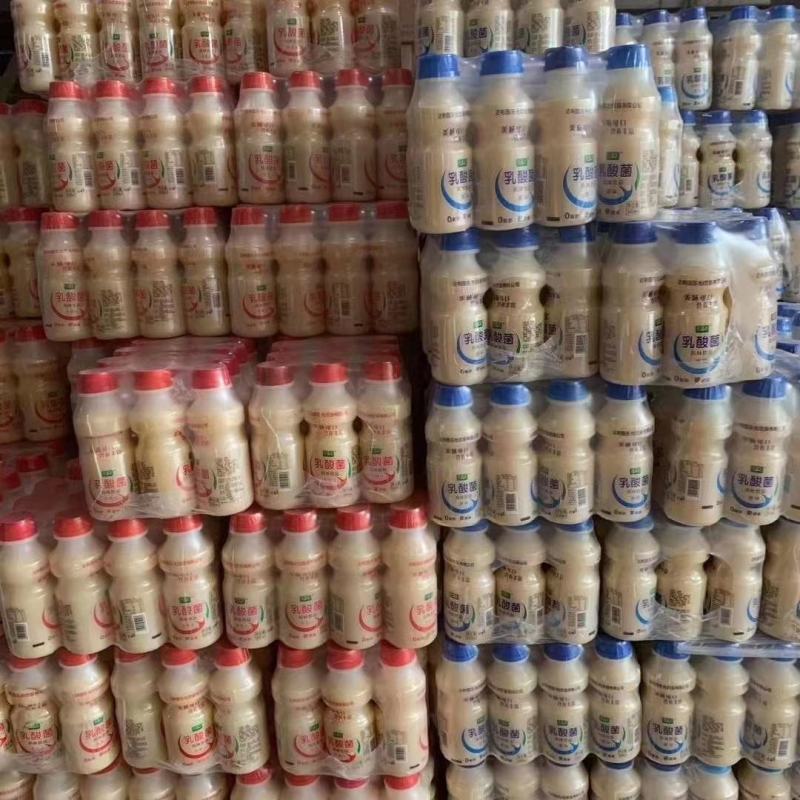 万君乐乳酸菌一件12瓶