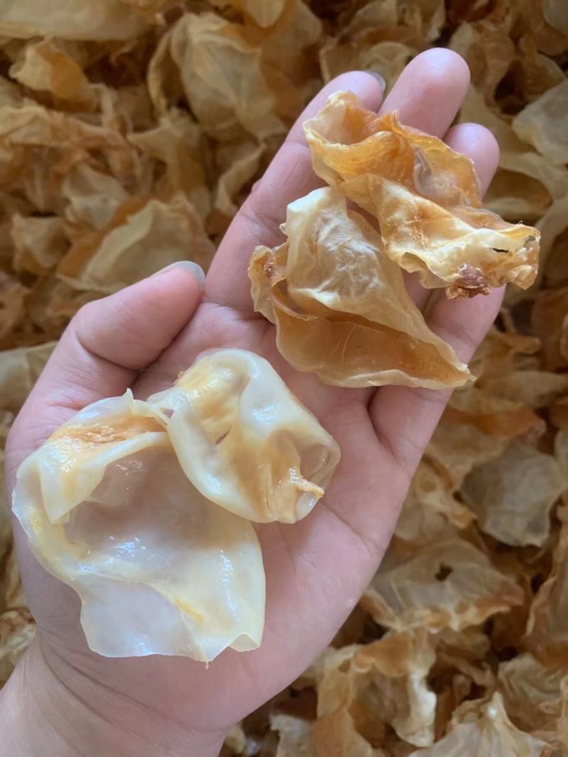 400头红鱼肚,98元，货足干，品质好