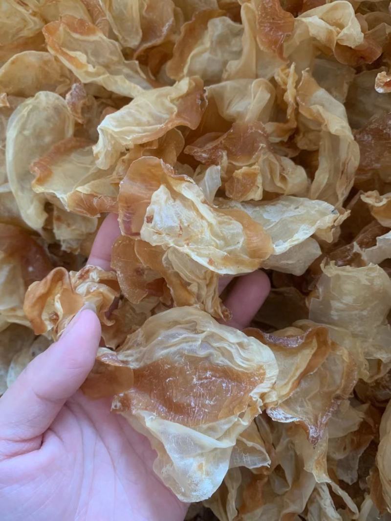 400头红鱼肚,98元，货足干，品质好