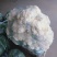 有机花菜大量现货白色好看