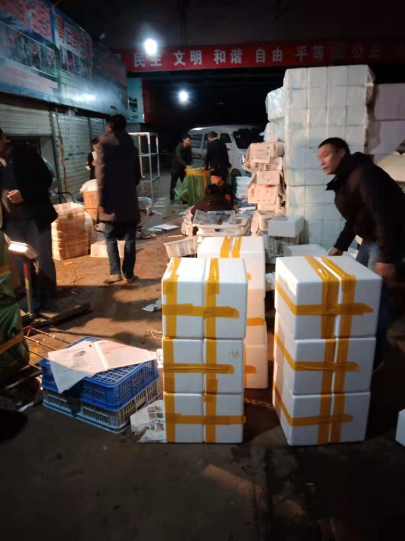 香椿芽一手货源诚招代理商