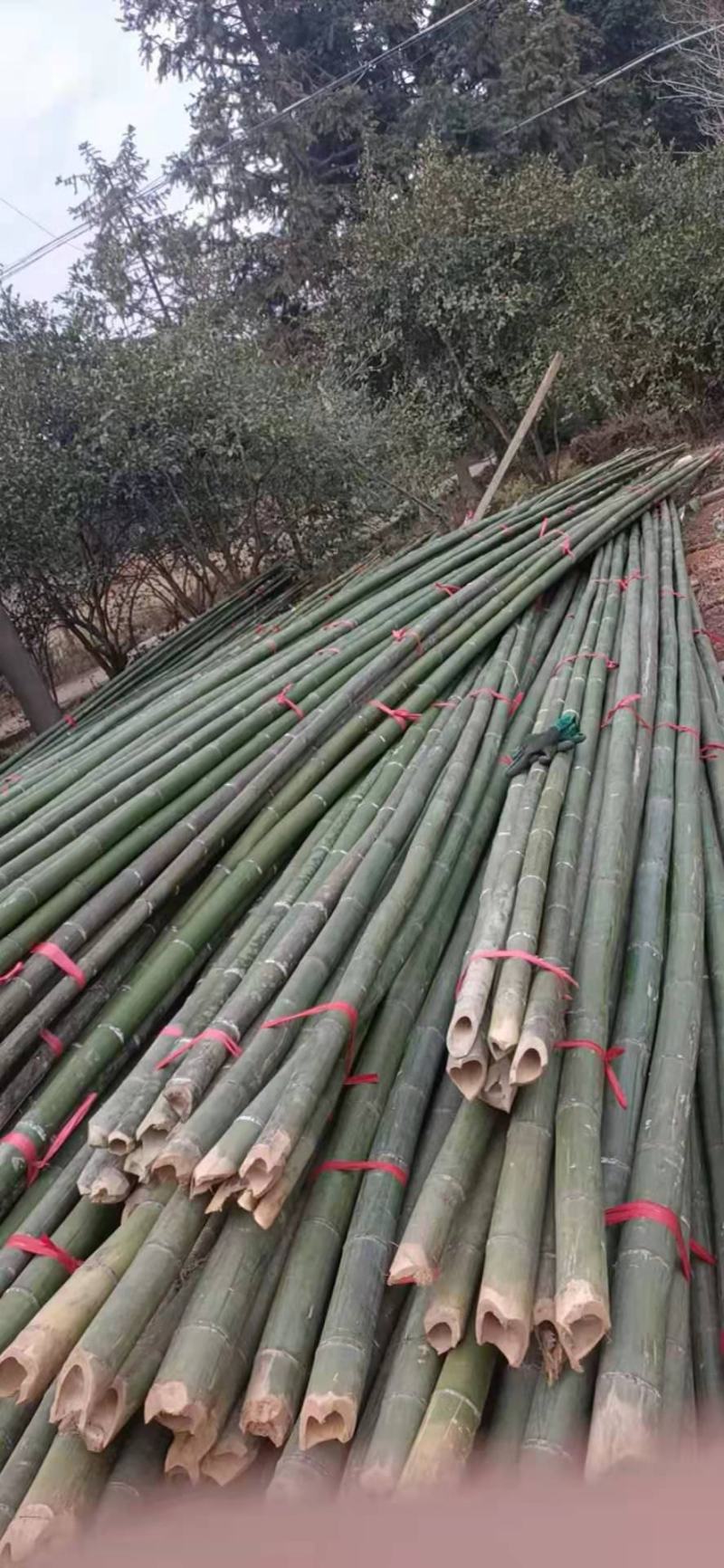 菜竹竿大量出售，价格优惠。质量保证，欢迎各位老板来电咨询