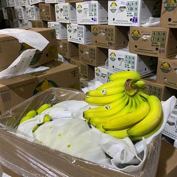 菲律宾香蕉、外贸公司直营，游击活动电商必备
