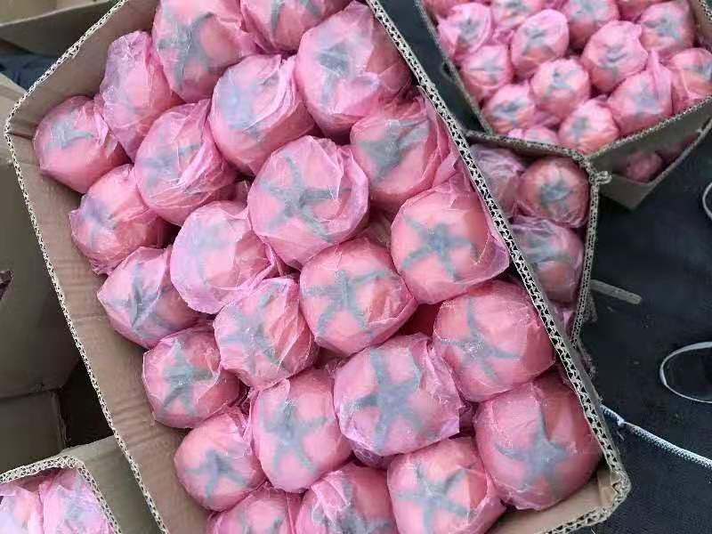 苍南大红硬果精品西红柿，场地直供色泽鲜艳一手货源