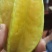 漳州云肖自家种的热带水