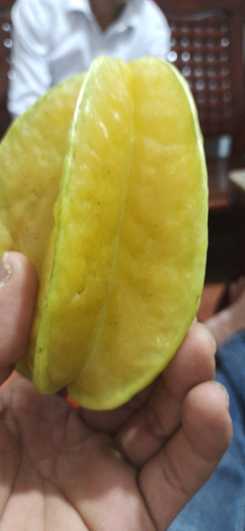 漳州云肖自家种的热带水