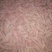 商薯191两到5两脱毒种薯白心