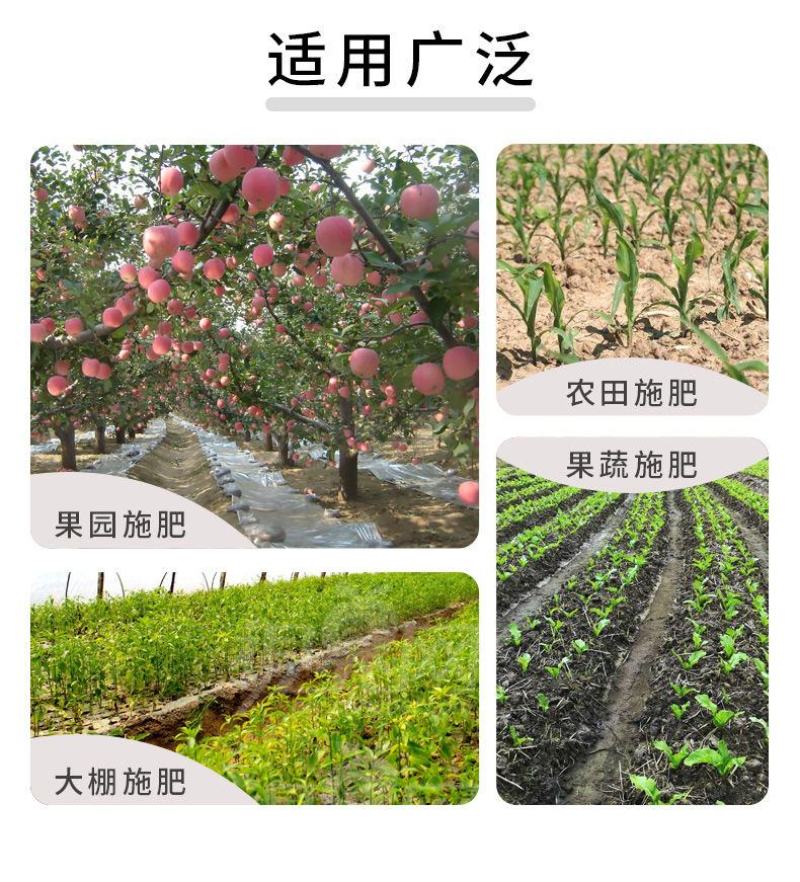 果树施肥神器农用多功能全自动硬地施肥机蔬菜背包追肥器农用