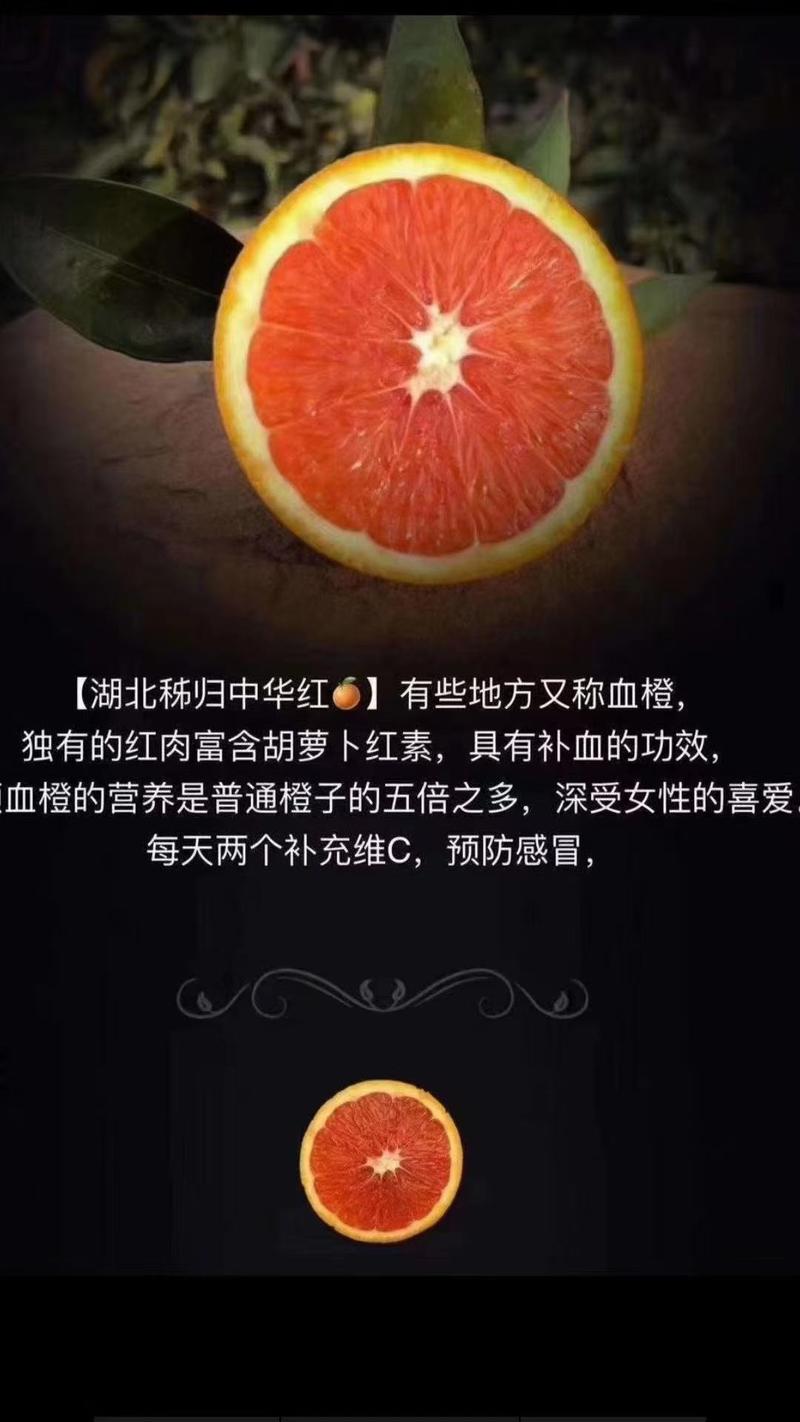 （精品一级果）秭归中华红血橙红肉红心橙子纯甜营养高的橙子