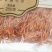 山海堂新会虫草花250g一袋