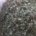 狗肝菜～新货～量大优惠～1公斤起售~差一点的12