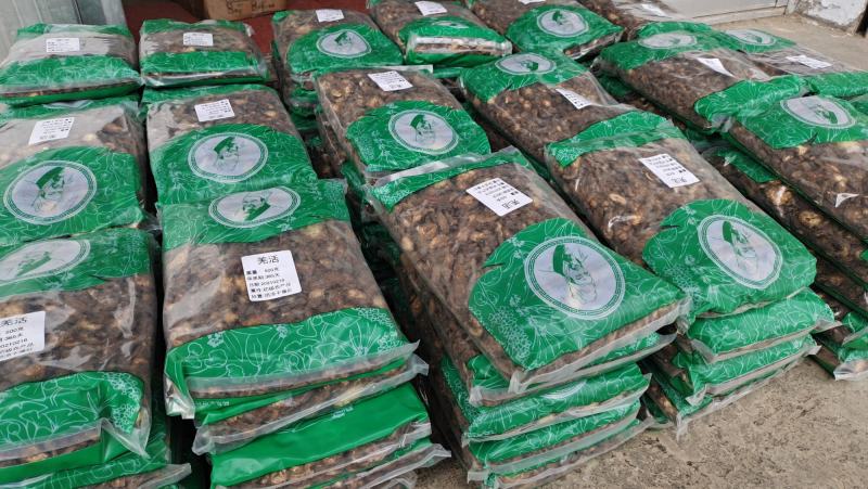 甘肃中药材野生羌活片500g克包邮蚕羌片竹节羌原产地发