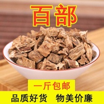 百部中药材百条根百部草生百部炙百部新货正品50/500克