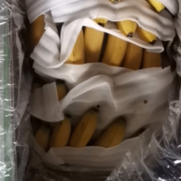 香蕉全金黄便宜出售，，，