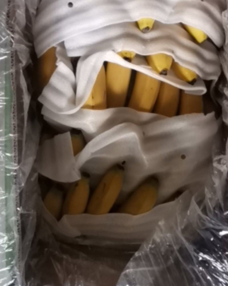 香蕉全金黄便宜出售，，，