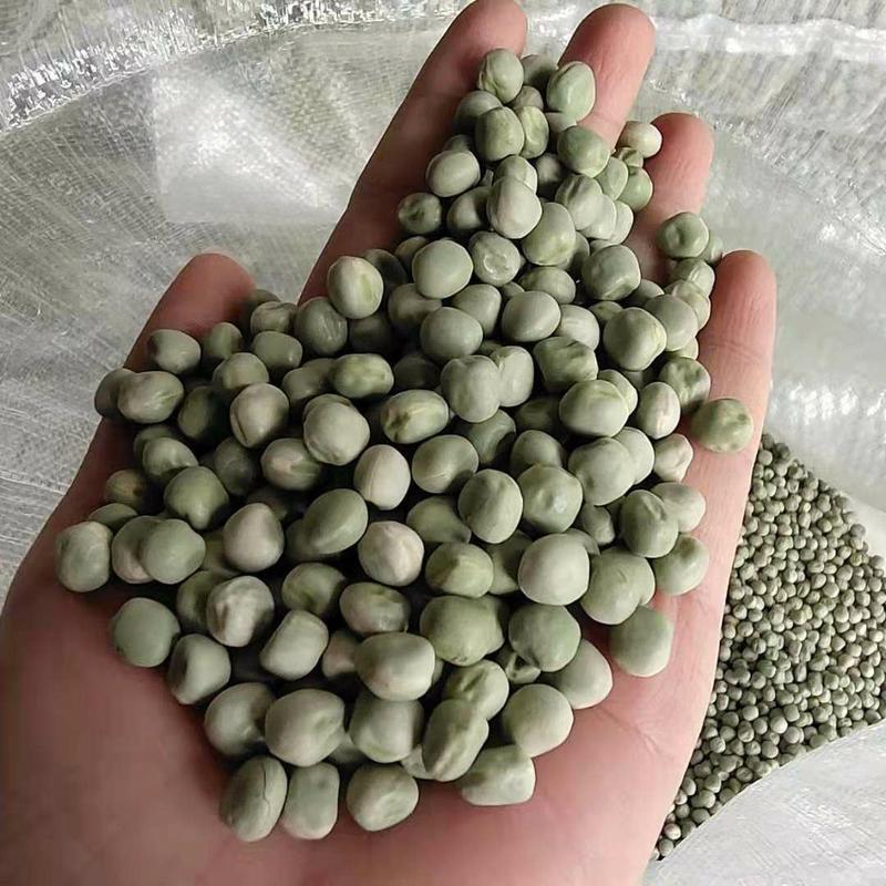 豌豆一斤可以泡两斤青豌豆卖10模式跑江湖地毯产品