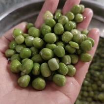 豌豆一斤可以泡两斤青豌豆卖10模式跑江湖地毯产品