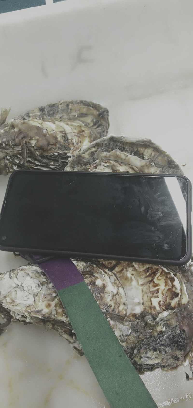 大连冷水蚝王