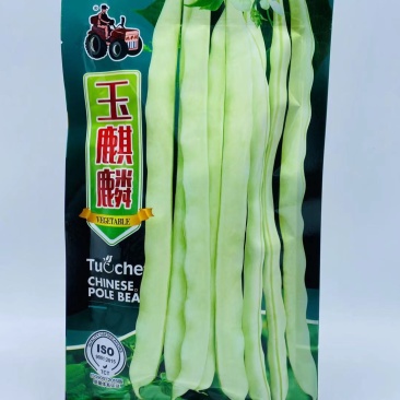 架豆王种子玉麒麟白荚芸豆种子高产不鼓粒种子