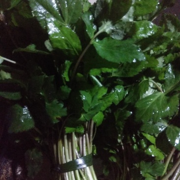 野菜类:大叶芹鸭脚菜