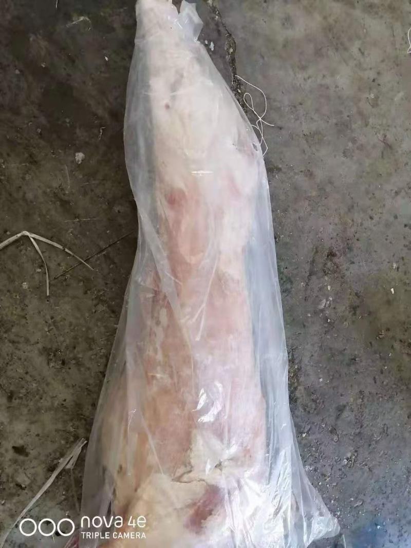 国产纯干羊酮体国产纯干羊酮体国产纯干羊酮体，手续齐全