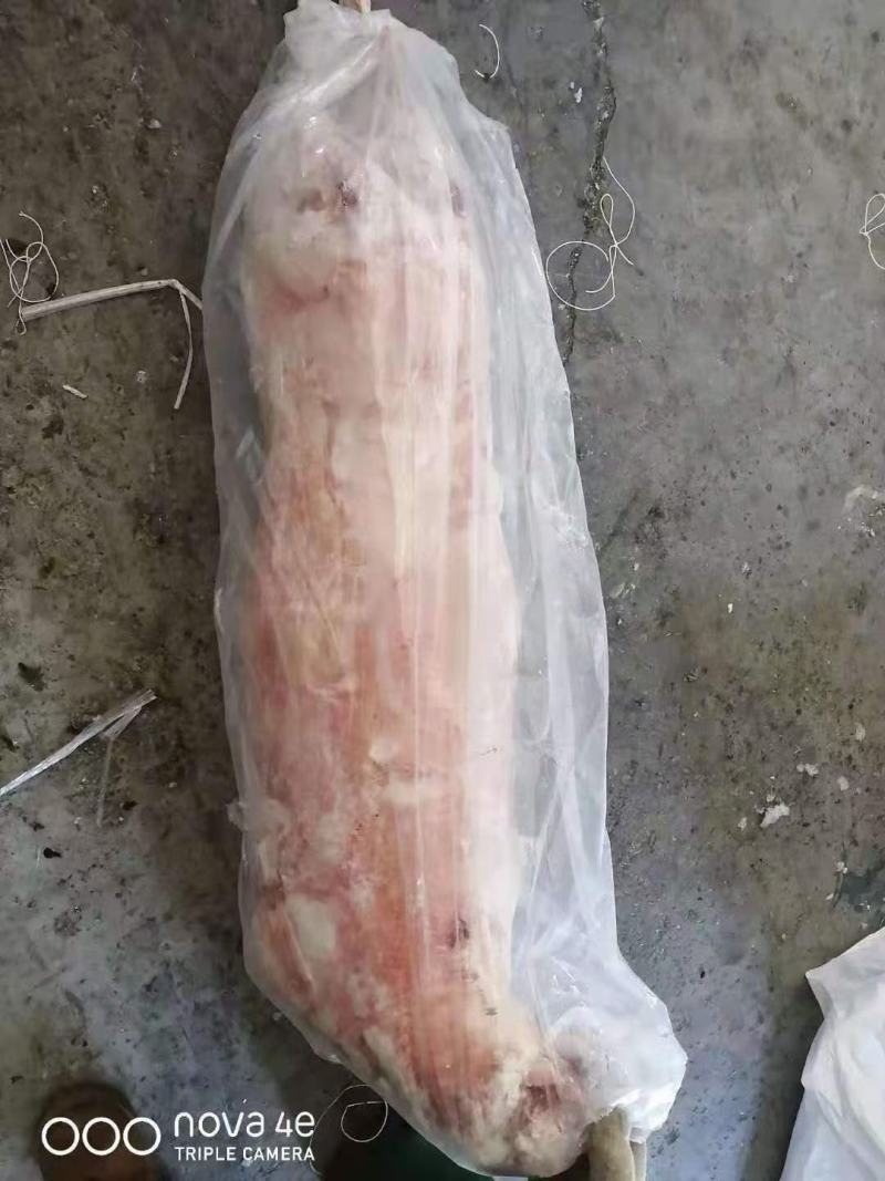 国产纯干羊酮体国产纯干羊酮体国产纯干羊酮体，手续齐全