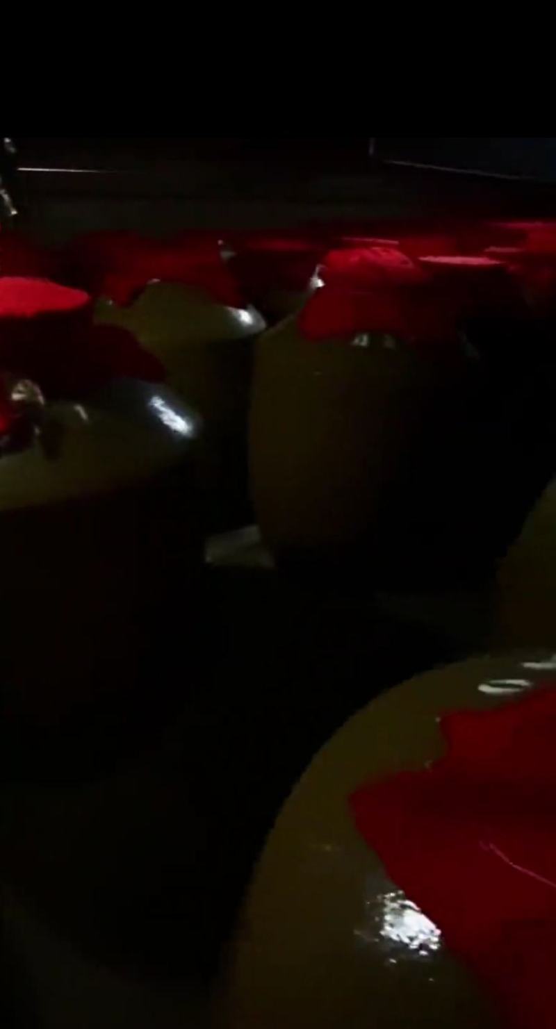 陕南野生拐枣酒（原始工艺酿造）好喝不上头。