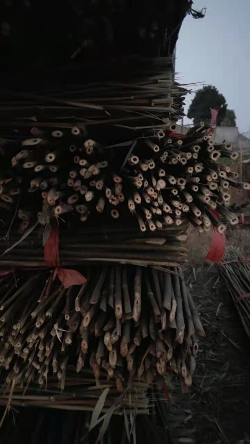 菜竹竿大量出售，价格优惠。质量保证，欢迎各位老板来电咨询