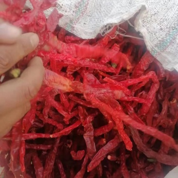 出售新疆货二荆条60吨