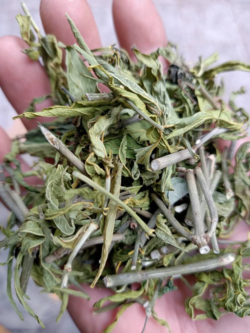 忧遁草，鳄嘴，黎王草