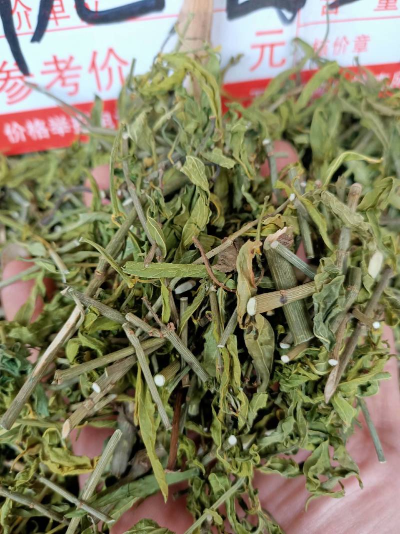 忧遁草，鳄嘴，黎王草