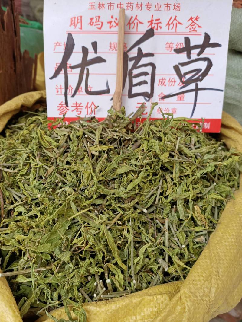 忧遁草，鳄嘴，黎王草