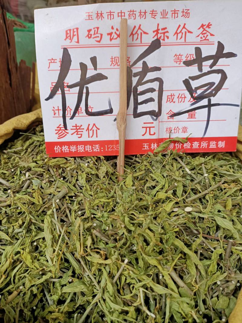 忧遁草，鳄嘴，黎王草