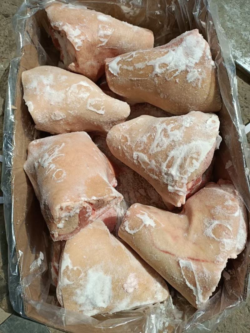 前肘后肘678肘子猪肘子猪蹄髈去拐肘子厂家直销猪前肘猪后