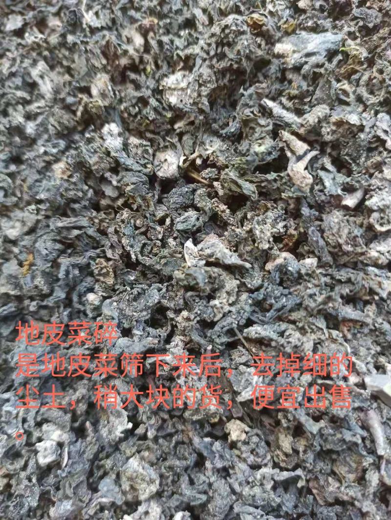 过筛过风车、手选三道工序无石子、杂草纯野生地皮菜地木耳