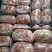 前腿肉后腿肉2号4号精肉块肉大块肉梅花肉块肉