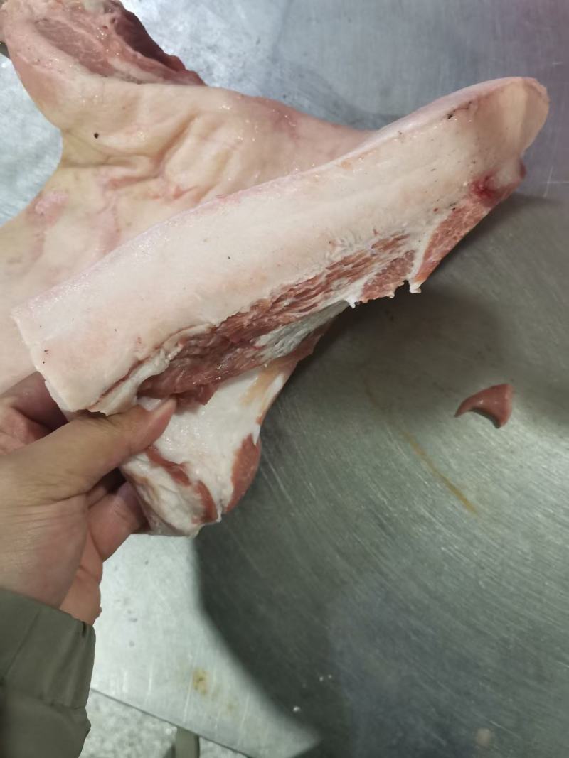 前五花肉后五花肉前腿五花后腿五花肉前上肉后上肉批发前五花