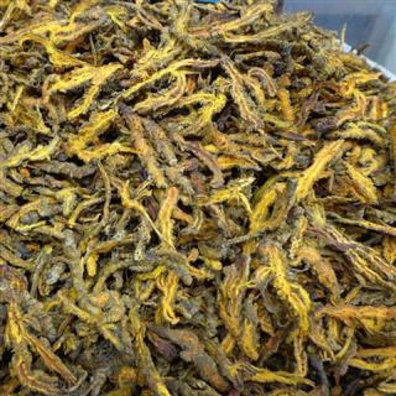 黄莲，黄莲片质量保证，经营各种中药材欢迎咨询合作