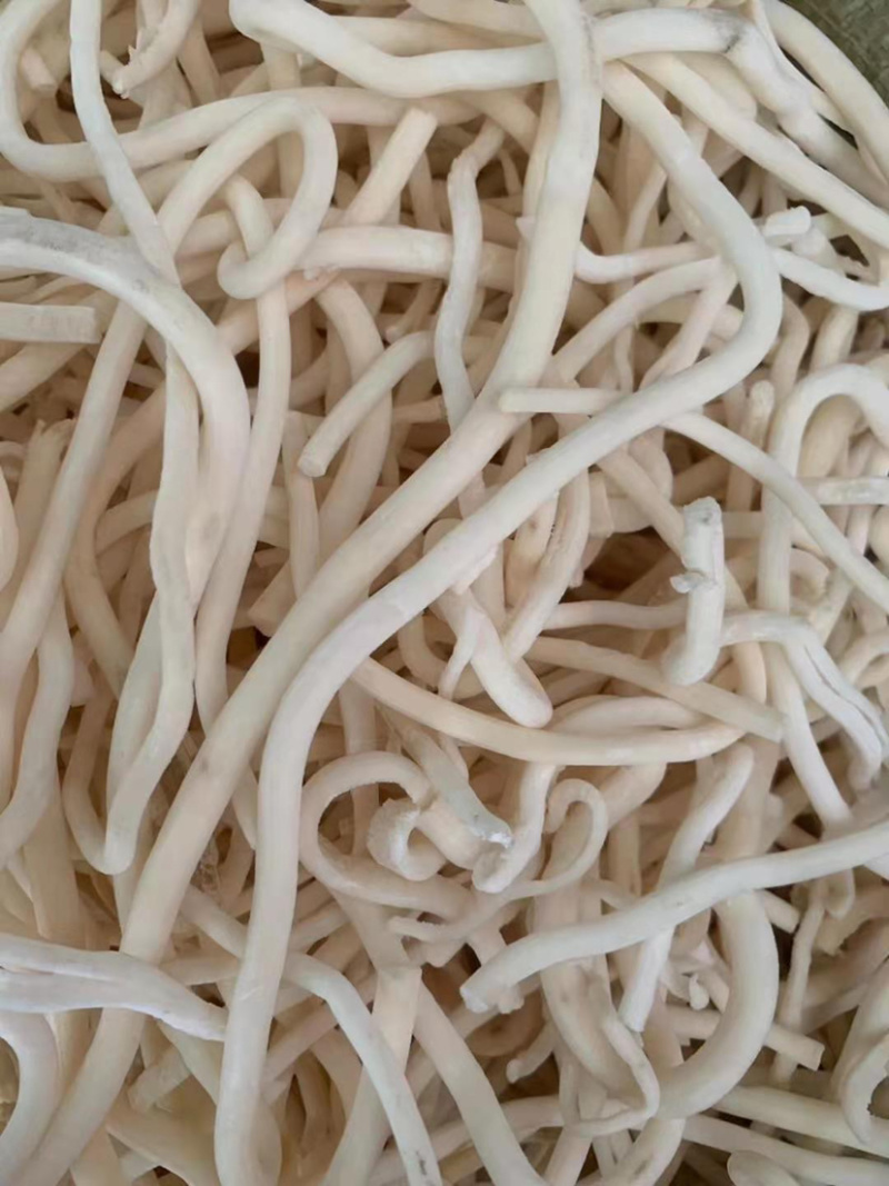 小通草【包邮】三斤起发货可批量可零售量大从优