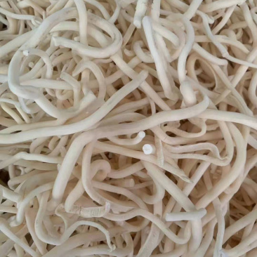 小通草【包邮】三斤起发货可批量可零售量大从优