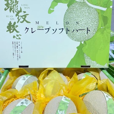海南玫珑瓜，玫珑蜜瓜，蜜瓜，网纹瓜，一级瓜