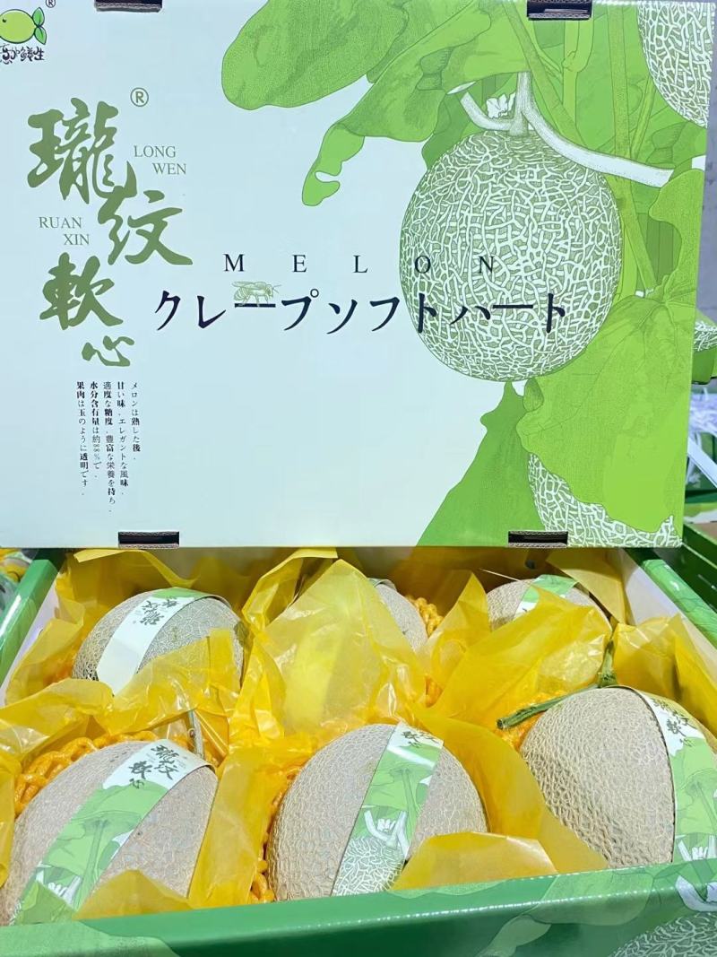 海南玫珑瓜，玫珑蜜瓜，蜜瓜，网纹瓜，一级瓜