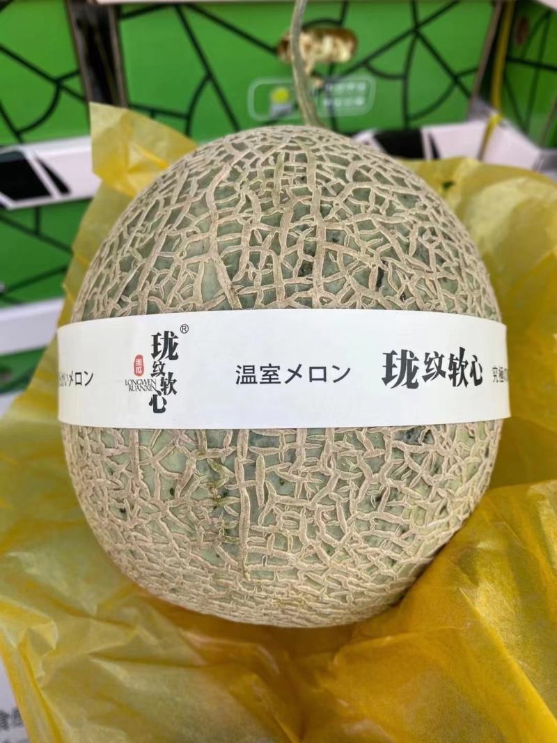 海南玫珑瓜，玫珑蜜瓜，蜜瓜，网纹瓜，一级瓜