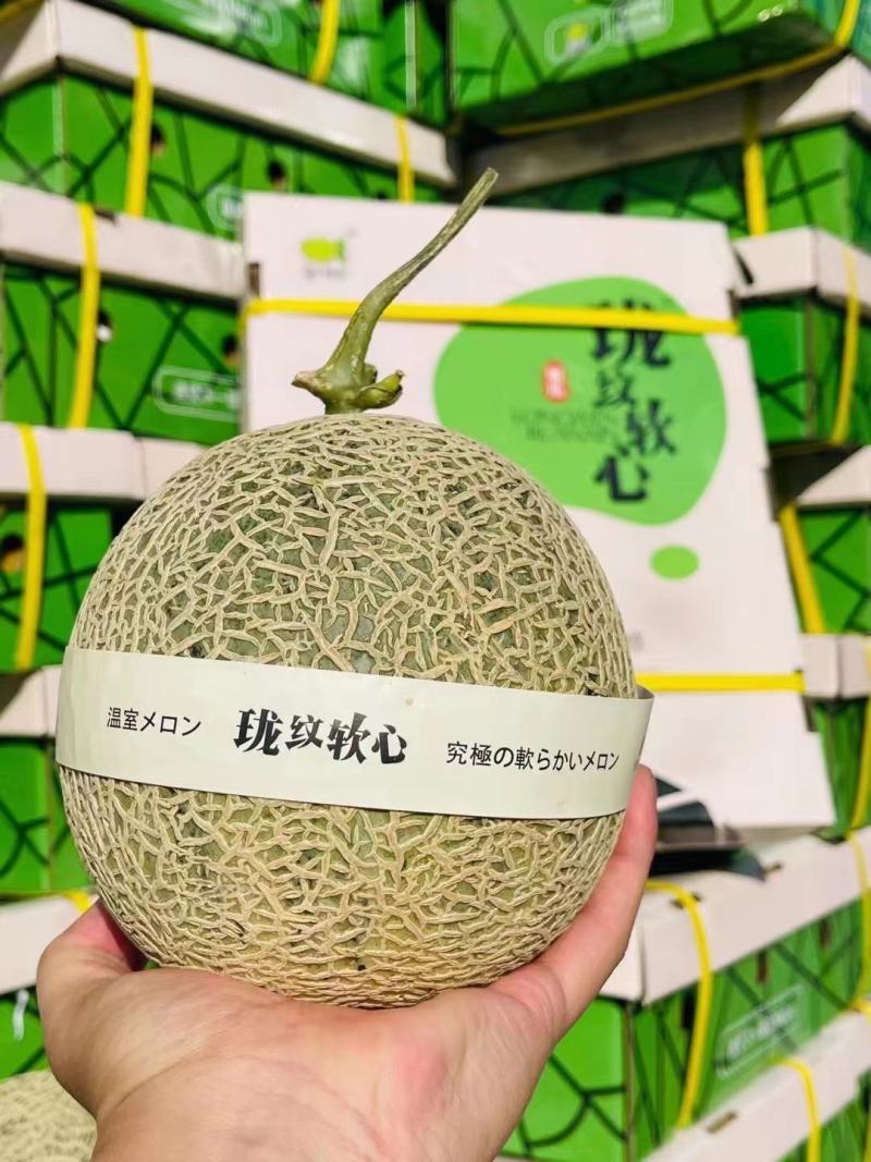 海南玫珑瓜，玫珑蜜瓜，蜜瓜，网纹瓜，一级瓜